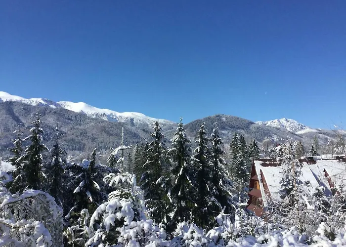 W Gorach * كوشتيليسكا